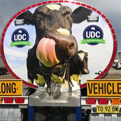 UDC Milk