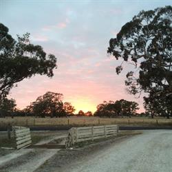 Bordertown Accommodation
