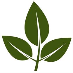 New Leaf Health