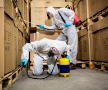 Epic pest solutions