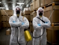 Pest Control Service