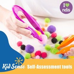 KID SENSE CHILD DEVELOPMENT CORPORATION PTY LTD