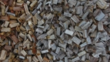 Wood Pile