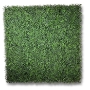 Hedge Walls