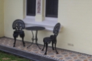 Painted Black Wrought Iron Garden Chair