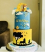 Birthday Cakes