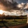 mindaribba Peterson  Bride and Groom kissing as the sunsets by Thierry Boudan Photography