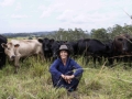 Cattles