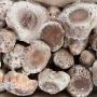 Shiitake Mushrooms
