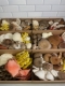 Gourmet Mushroom Medley Large Boxes