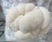 Lions_mane_on_fruiting_block