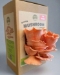 Pink_Oyster_Mushroom_Grow_Kit