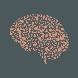 Wise Mind Psychology Newcastle