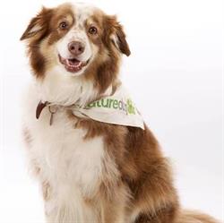 NatureDog Raw Dog Food