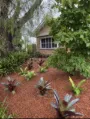 Tropical Garden