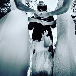 Cairns Tropical Marriages - Tim Kelly Cairns Marriage Celebrant and Master of Ceremonies