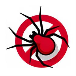 Bug Pest Control
