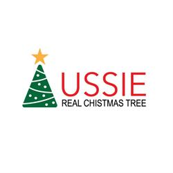 Aussie Real Christmas Tree Melbourne