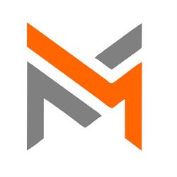 Mforce Security