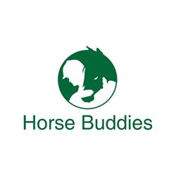 Horse Buddies!