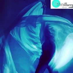 The Barre Studio