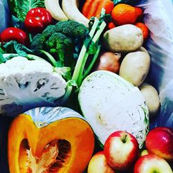 Dunsborough Growers Market