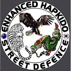 Enhanced Hapkido - Martial Arts & Street Defence