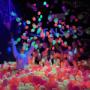 SENSAS Melbourne. Multi-Sensory Experience.