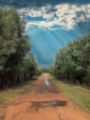 BushLighs-caravan-park-1