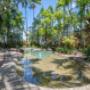 Lagoon style pool & spas