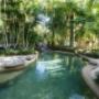 Lagoon style pool & spas