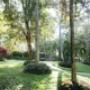 Tropical gardens