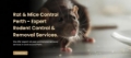 Why Professional Rat Pest Control in Perth Is Essential for a Safe Home