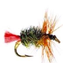 essential Flyfisher