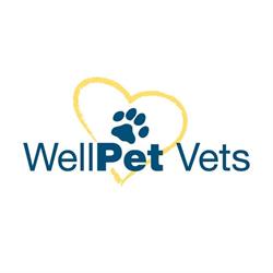 Wellpet Mountains Animal Hospital