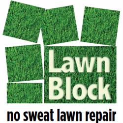 Lawn Block Turf