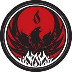 Rise Mixed Martial Arts