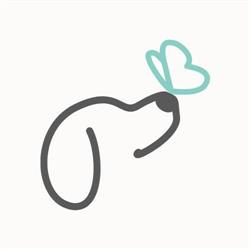 The Mindful Dog