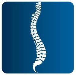 Basham Chiropractic