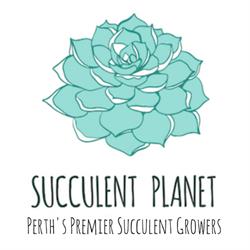 Succulent Planet