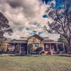 Leaning Oak Mudgee