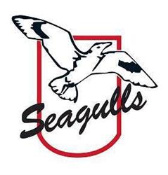Action Indoor Sports Wynnum