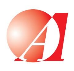 Action Engineering Services Group