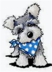 Riff Raff's Dog Grooming Rokeby