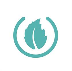 Mint Consulting Australia