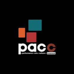 Performance Arts Culture Cessnock