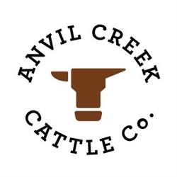 Anvil Creek Santa Gertrudis Stud
