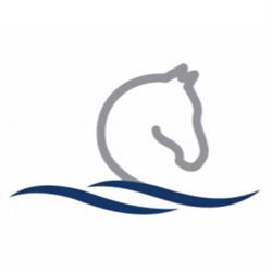 The Rivers Equine Vets