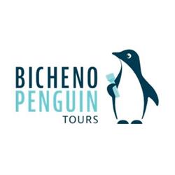 Bicheno Penguin Tours and Bicheno Surf Shop