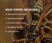wasps